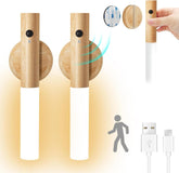 INDUCTION LAMP LIGHT